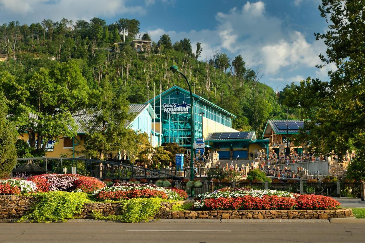 Love Shack Sevierville Exterior photo